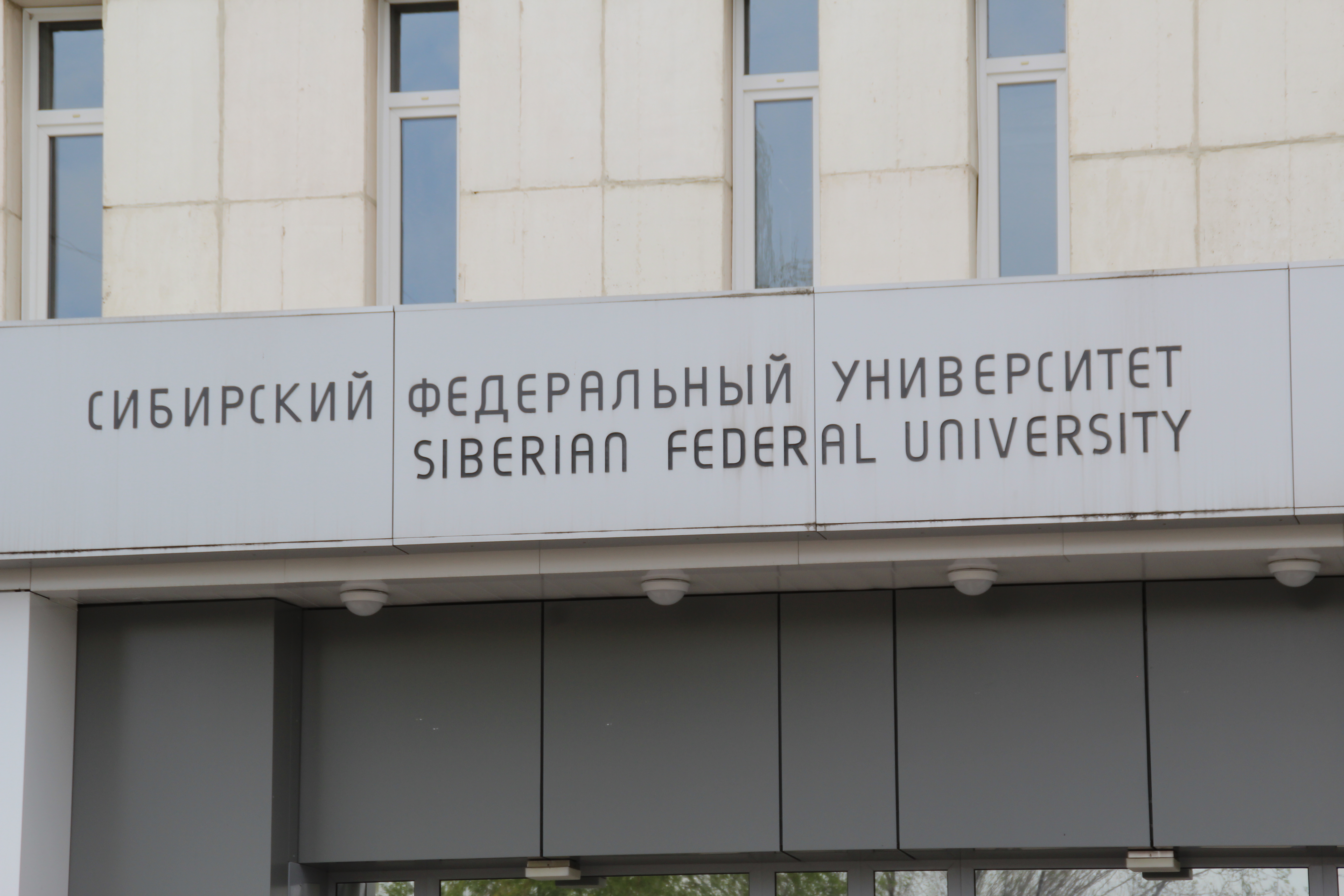 Сибирский Фед университет. Сибирский федеральный университет.